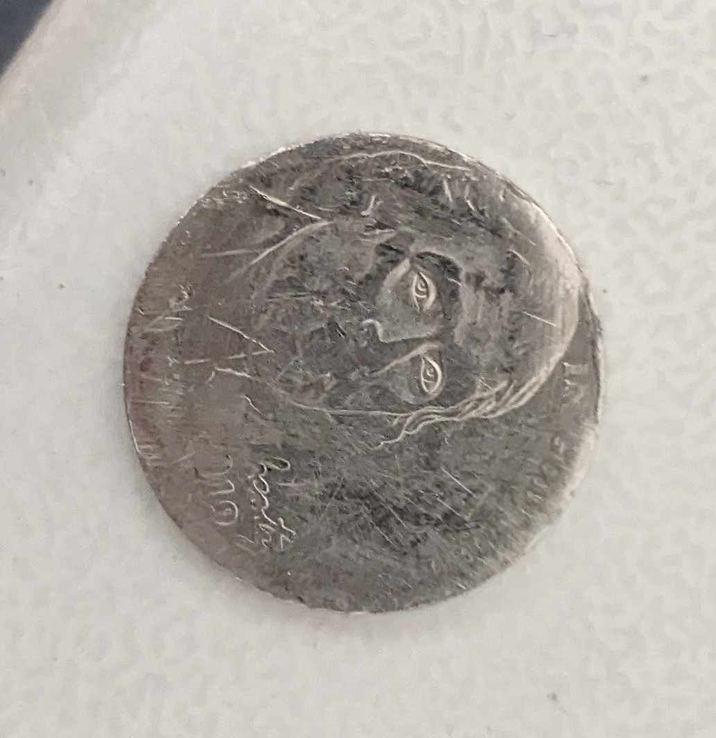 2019-Half-Printed-Nickel