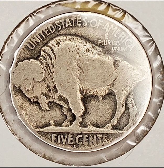 Validation-Sought---1919-D-2-Feather-Buffalo