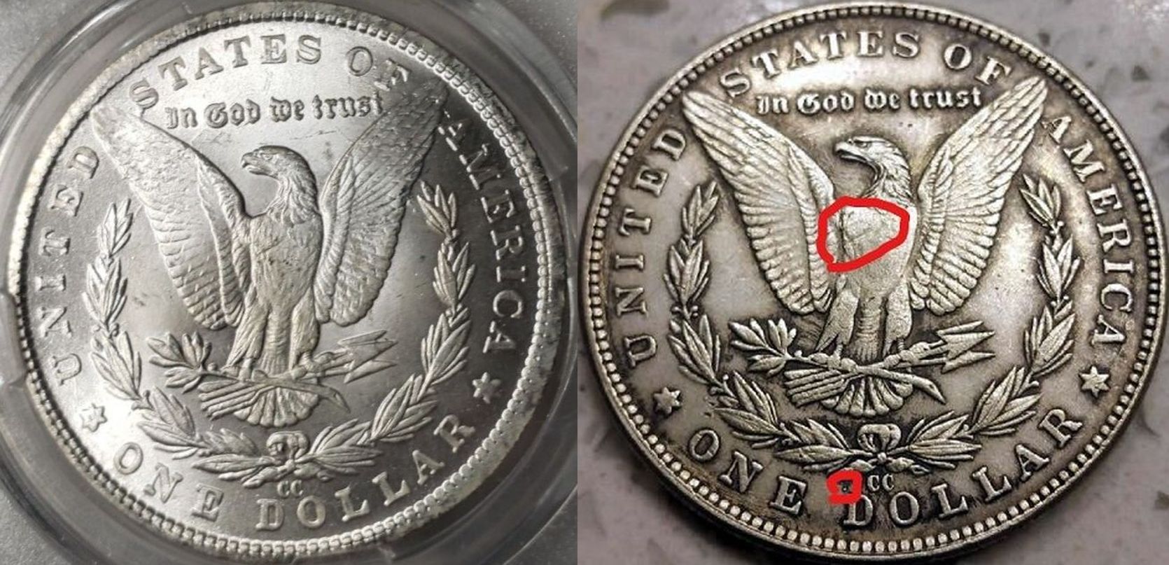 Talk-About-A-Crap-Show--Counterfeit-1881-CC-Morgans-In-Various-Certed-Fake-Holders