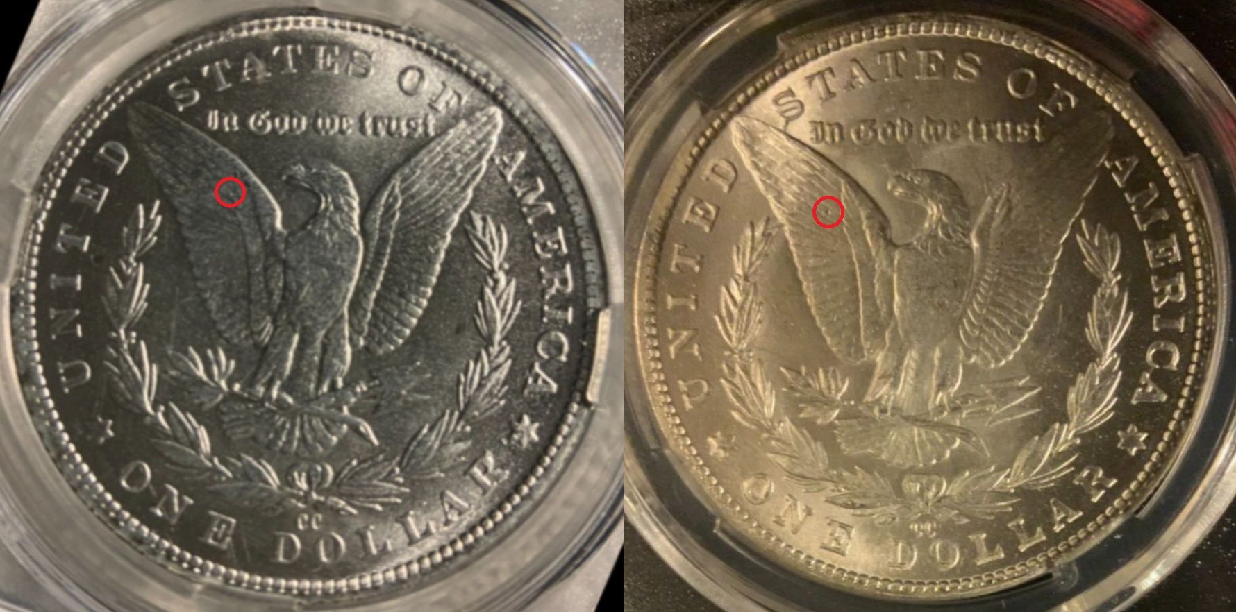 The-Counterfeit/-Fake-PCGS-Slab-Problem-Seems-To-Be-Growing-Exponentially.