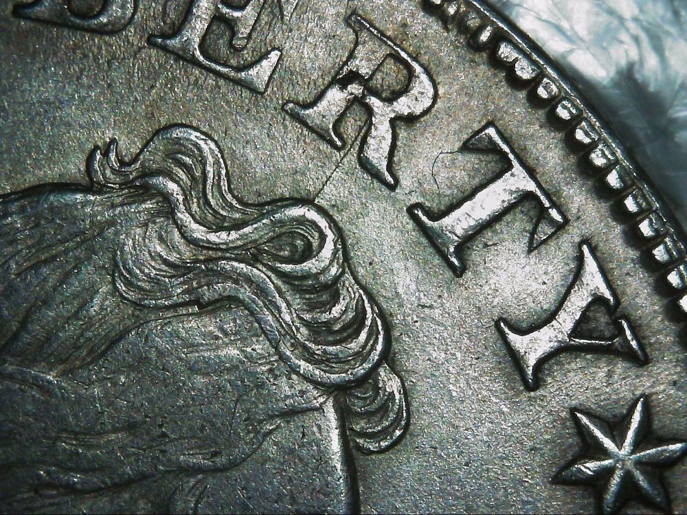 1799-Draped-Bust-Dollar--Opinions?