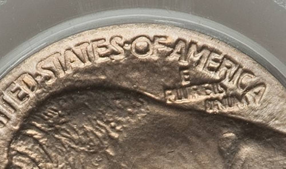 1913-D-Type-1-Buffalo-Indian-Nickel.--Toned.--Gawk.--Grade.