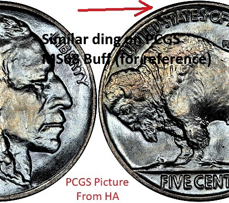 1935-Buffalo-Rim-Ding/Damage.--Is-This-A-Factor?--Degrader?