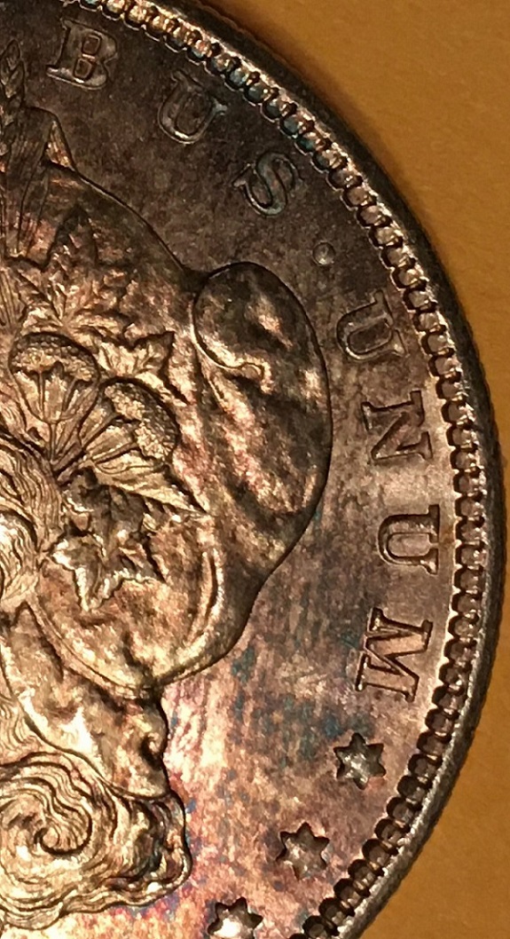 1879-S-PL-Morgan-Dollar.--Grade-And-Comments.