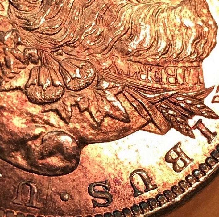 1879-S-PL-Morgan-Dollar.--Grade-And-Comments.