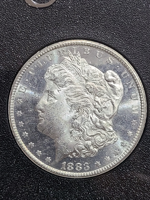 CC-Morgan-Dollar-To-Grade-Or-Not-To-Grade