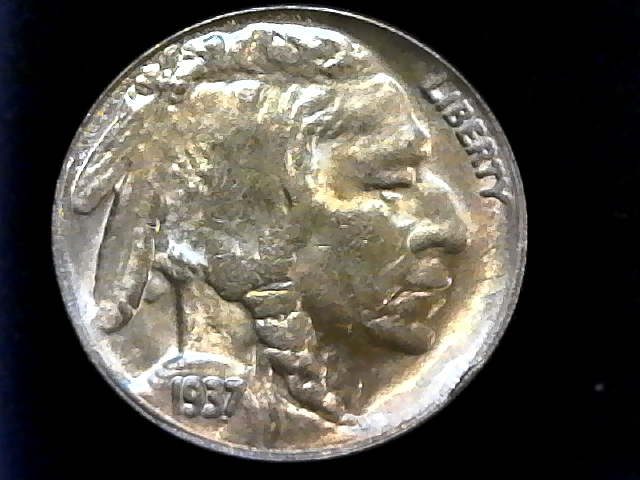 1937-D-3-Legged-Buffalo