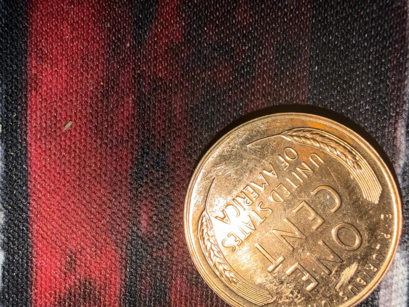 1958-1c-Struck-With-Another-Coin