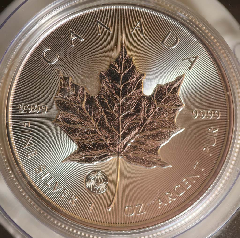 My-Collection-Of-1-Ounce-Silver-Maples