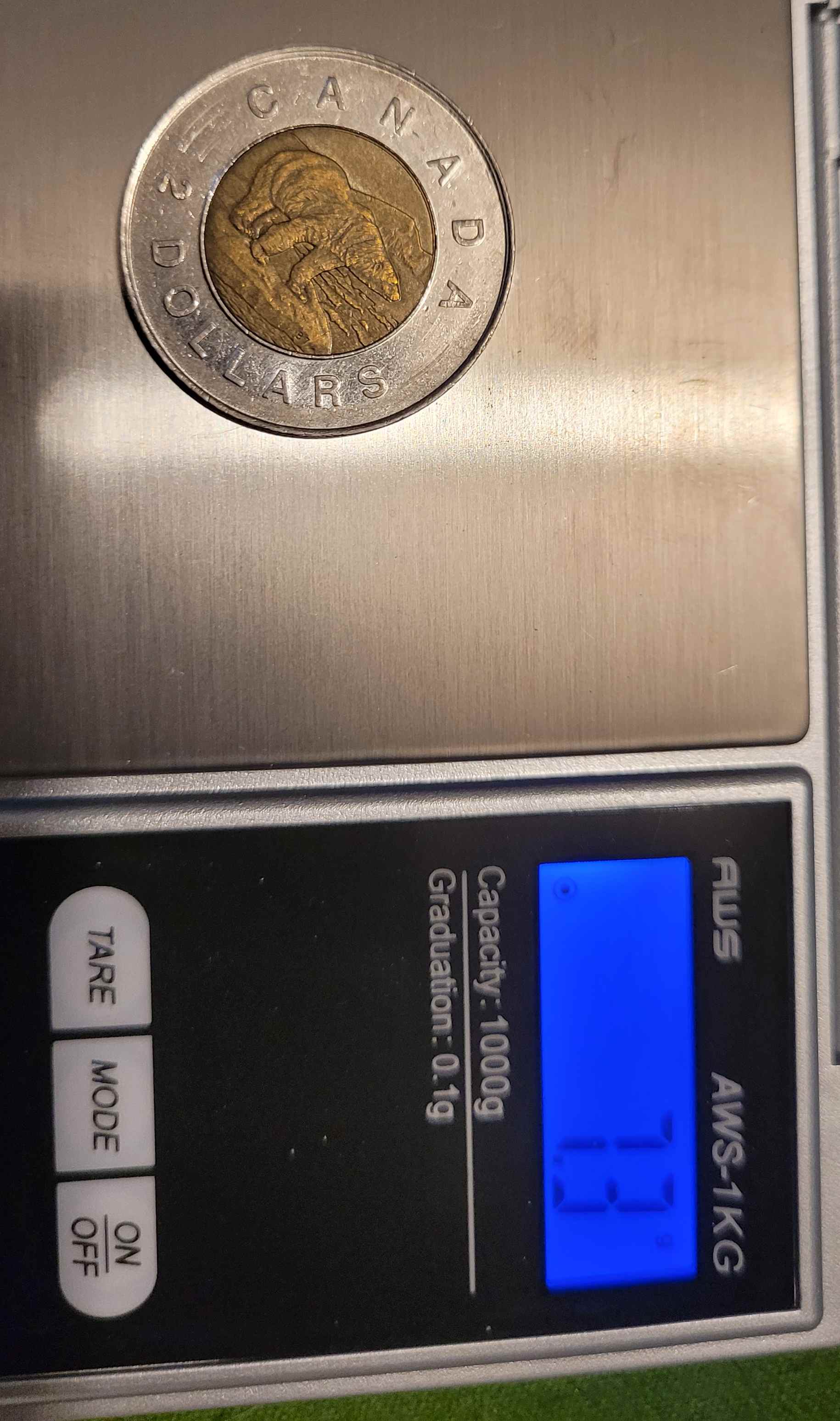 Recently-Bought-This-Toonie,-Can-Someone-Tell-Me-What-I-Have?