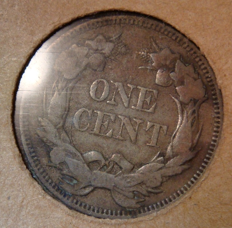 Flying-Eagle-/-Indian-Head-Collection-In-Old-Album-Pages
