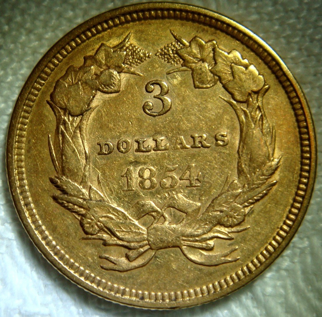 1854-Three-Dollar-Gold-Indian-Princess-Head-For-Grade-Opinions