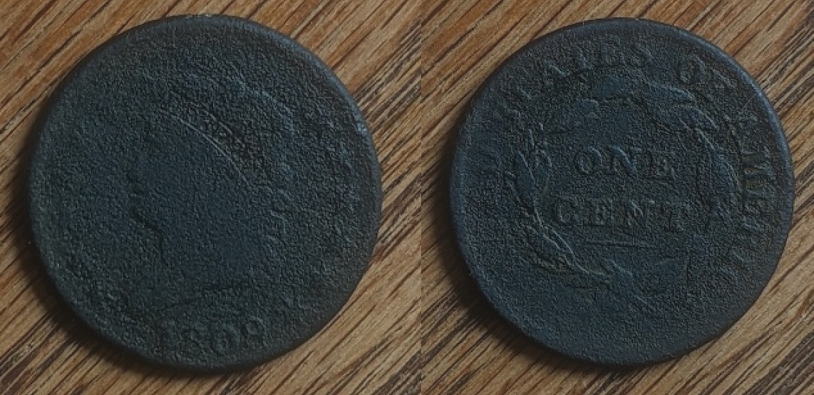 Would-You-Attempt-Conservation-Or-Leave-Alone?