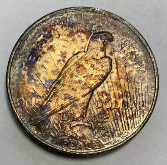 Artificial-Toning-On-Peace-Dollar-1923