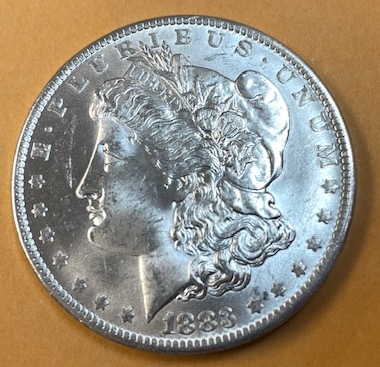 1883-O-Morgan-Dollar-Error?