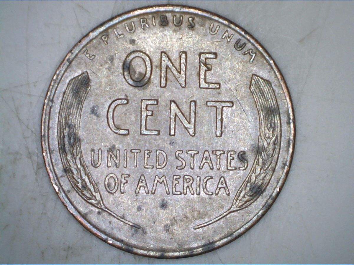 1947-S-Cent-WRPM-001-Trumpet-Tail---What-Do-You-Think