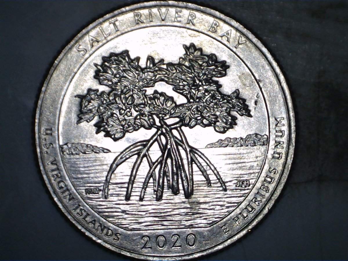 2020-P-Salt-River-Bay-Quarter-Possible-New-DDO--?