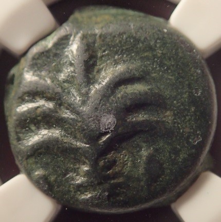 Post-Your-Coins-With-Horses