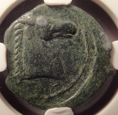 Post-Your-Coins-With-Horses