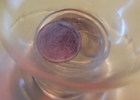 1876-Seated-Liberty-Dime-Sealed-In-Handblown-Glass
