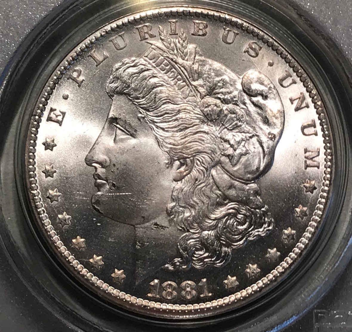 1881-CC-Morgan-Dollar---You-Vs-PCGS