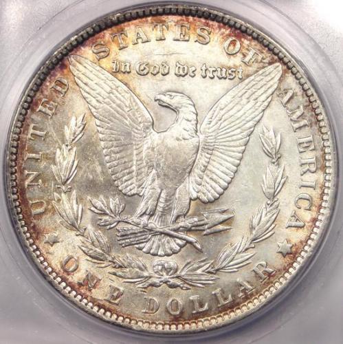 1901-P-Morgan-Dollar---Grading-Opinions