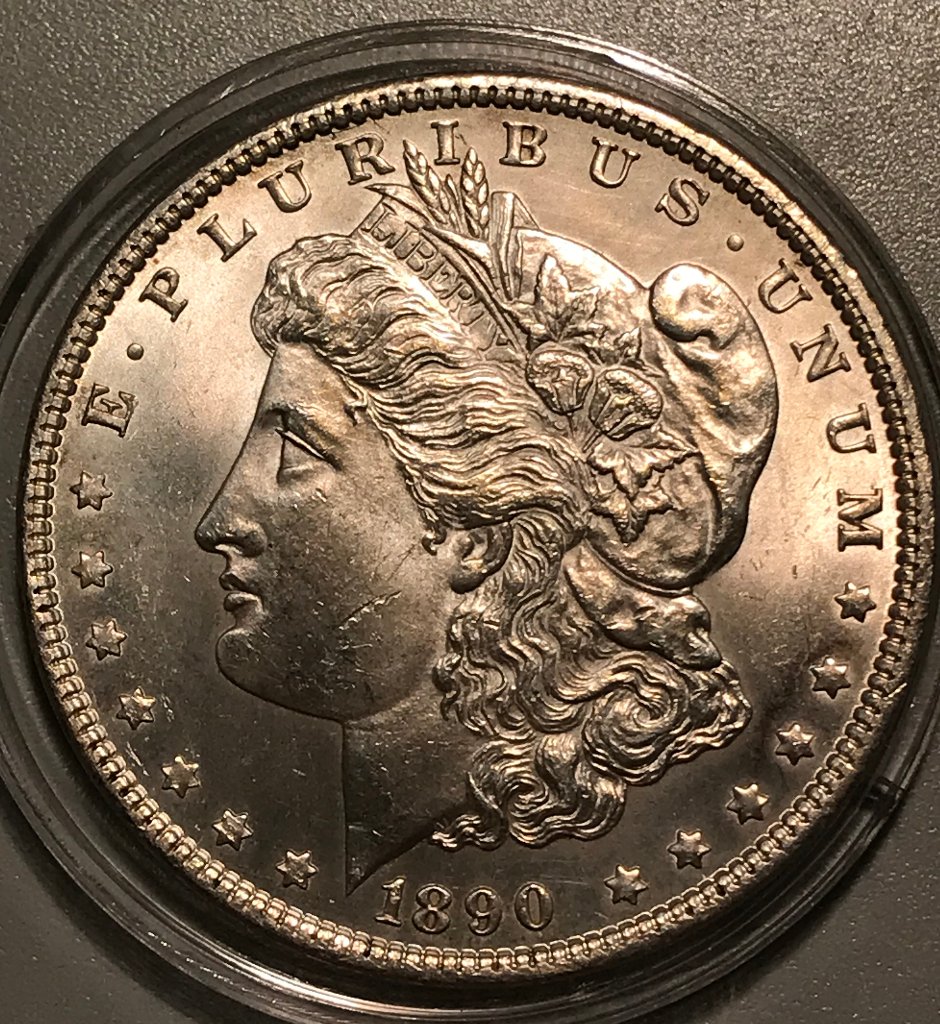 1890-P-Morgan-Dollar---Grading-Opinions