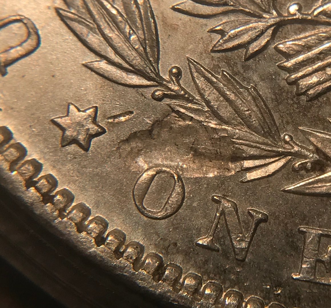 1890-P-Morgan-Dollar---Grading-Opinions