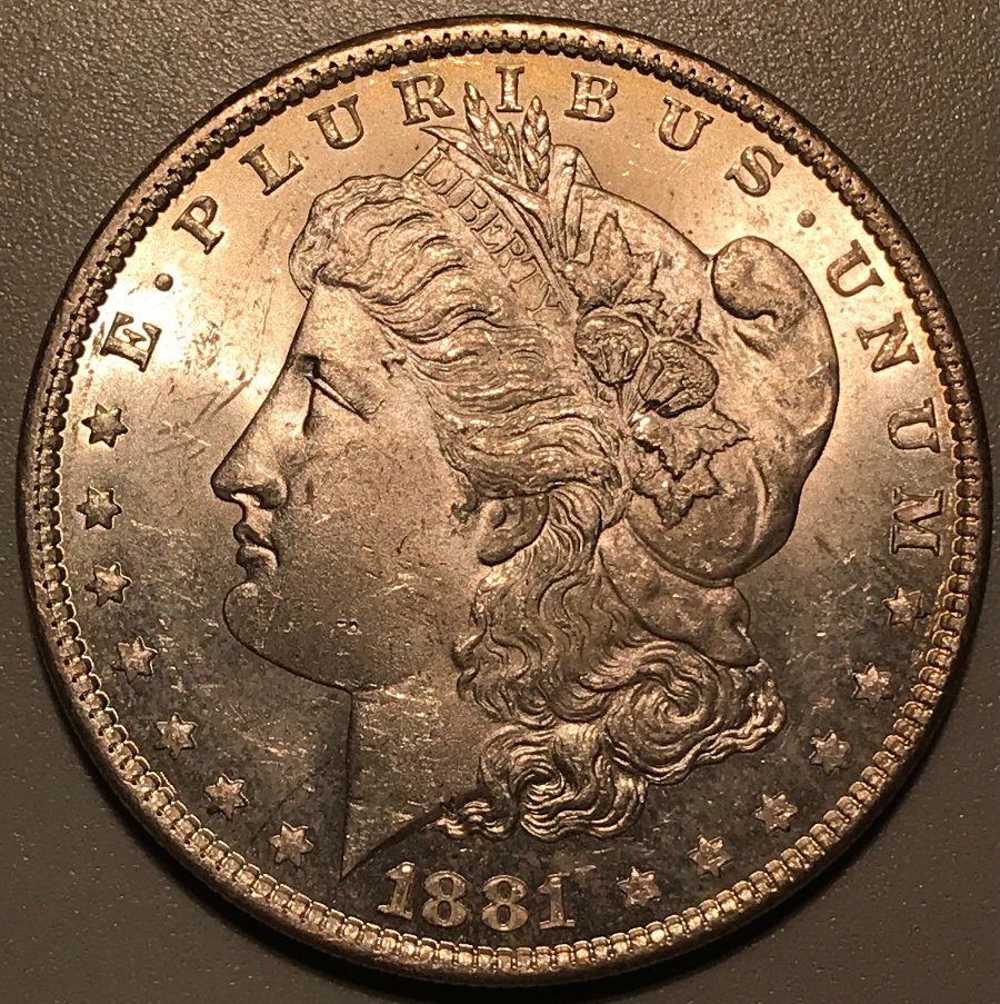 1881-O-Morgan-Dollar---Grading-Opinions