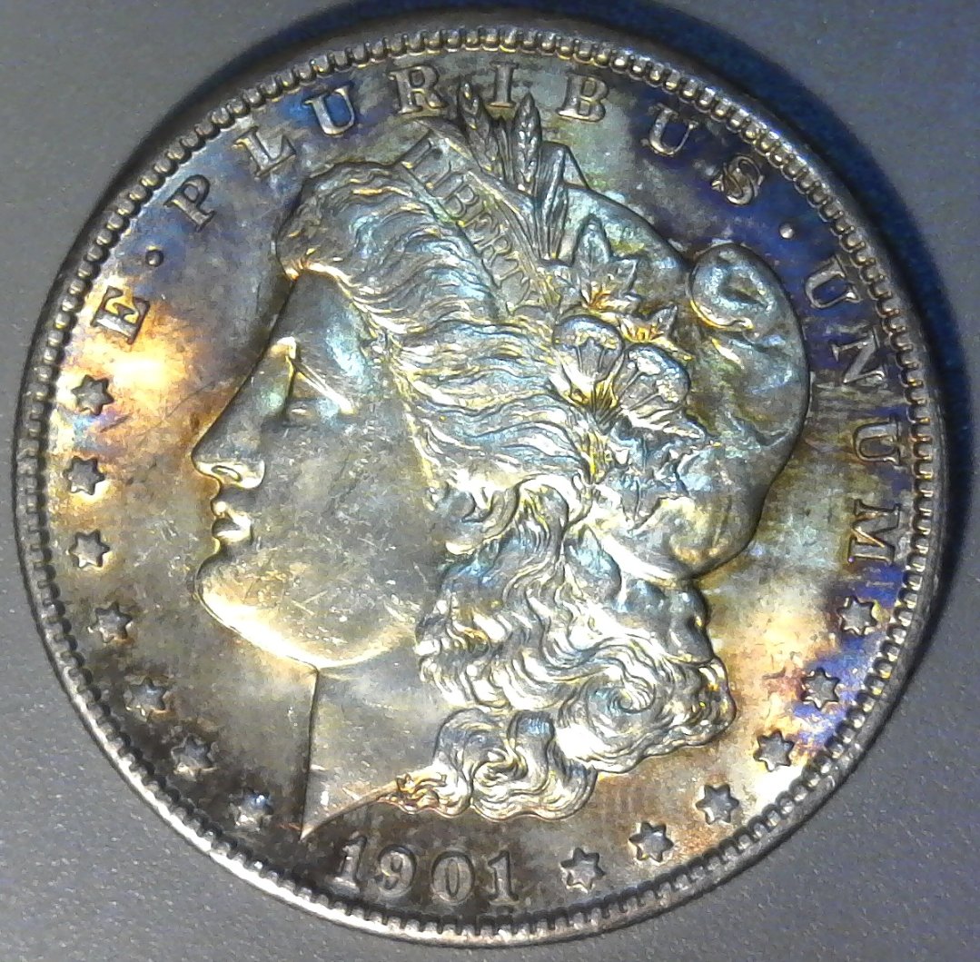 1901-O-Morgan-Dollar---Grading-Opinions