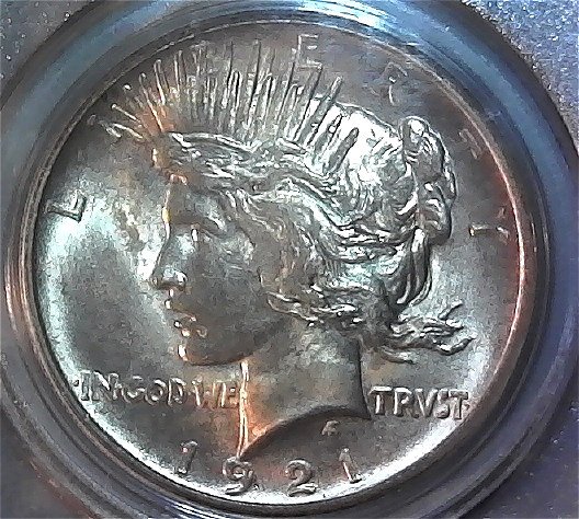 1921-Peace-Dollar---You-Vs-PCGS