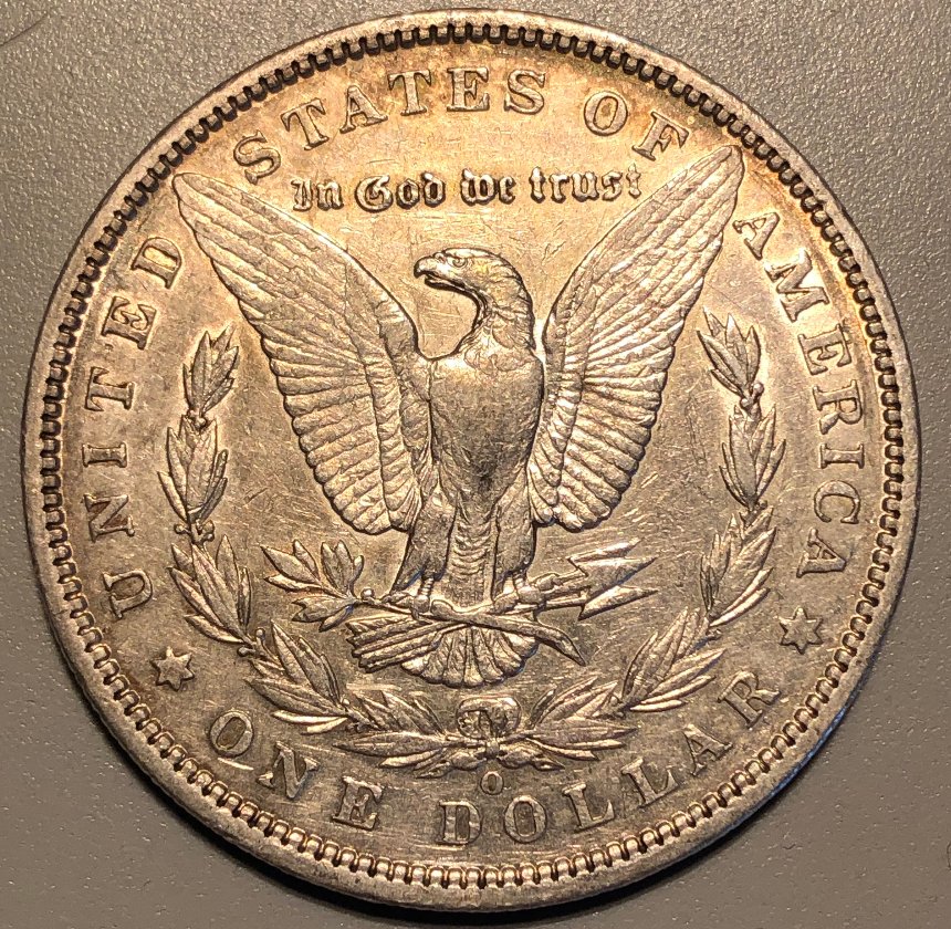 1895-O-Morgan-Dollar---Grading-Opinions