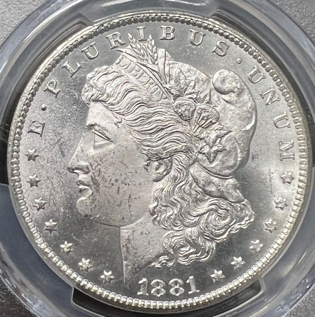 1881-CC-Morgan---You-Vs-PCGS