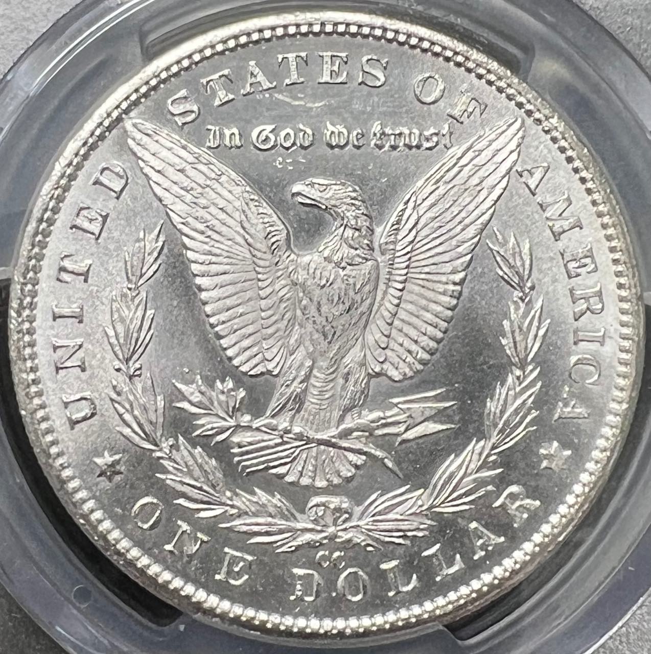 1881-CC-Morgan---You-Vs-PCGS