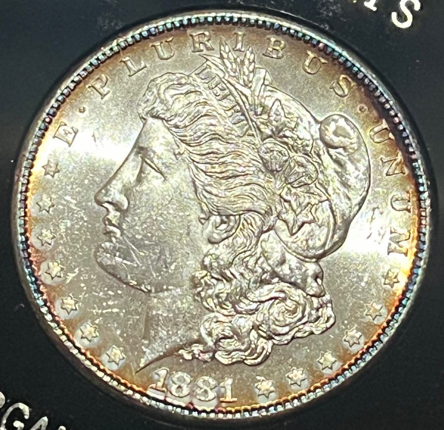 1881-S-Morgan-Opinions