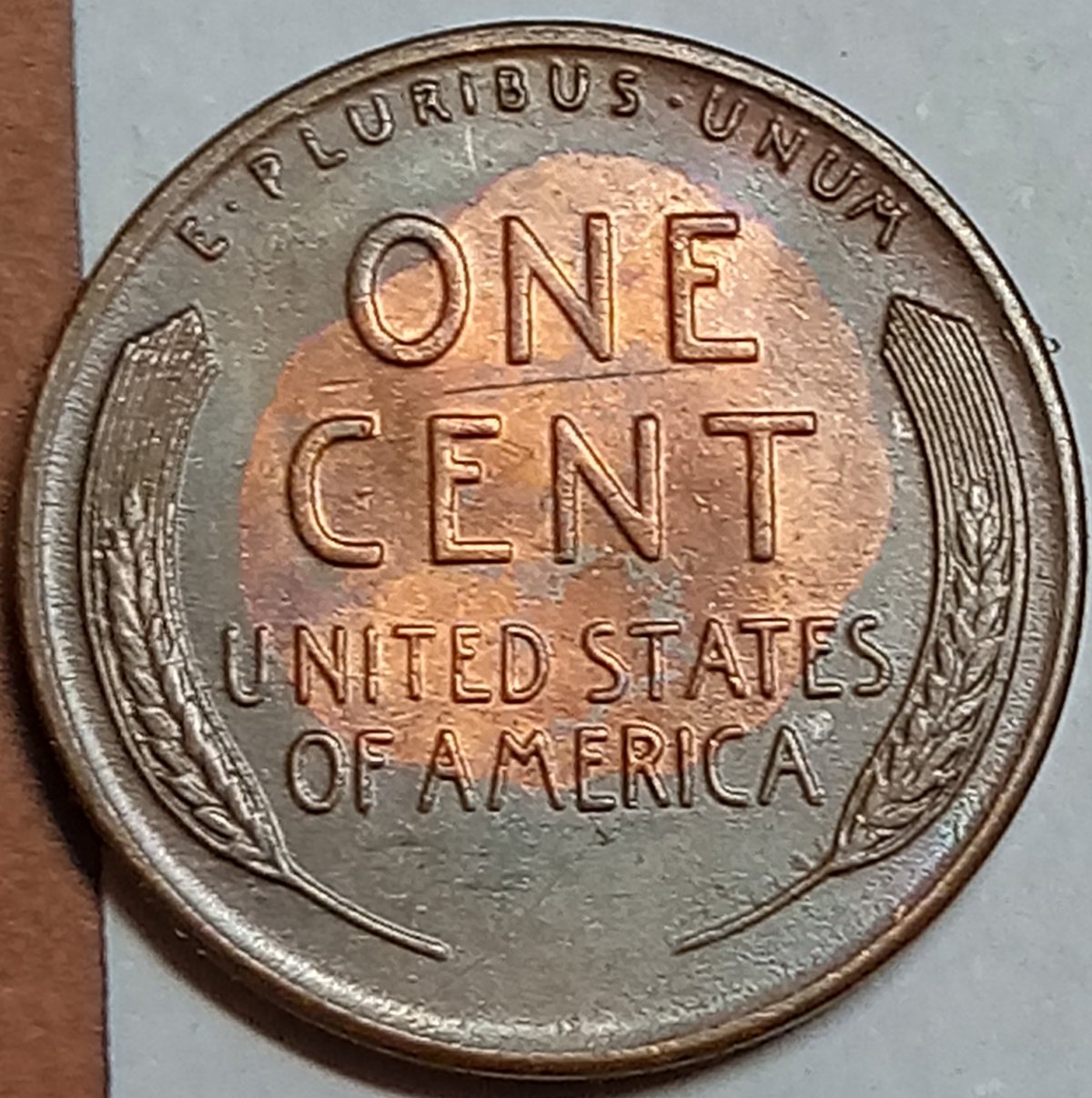 Couple-Questions-On-My-'54-S-Wheatie,-Pretty-Sure-I'm-Looking-At-A-DDO?