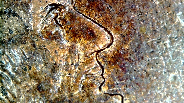 2004-LMC-Is-There-Doubling-On-Lincoln's-Profile?