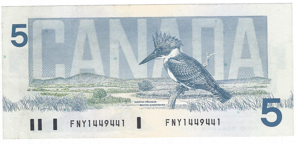 Post-Your-Avian-Notes!
