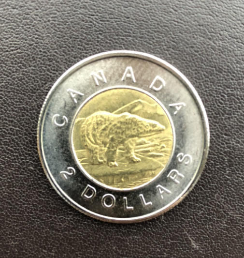 Counterfeit-Toonies-Are-Going-To-Be-A-Significant-Problem