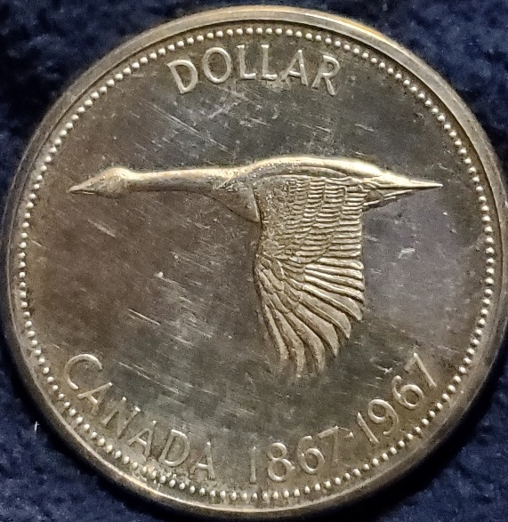 Post-Your-Bird-Coins