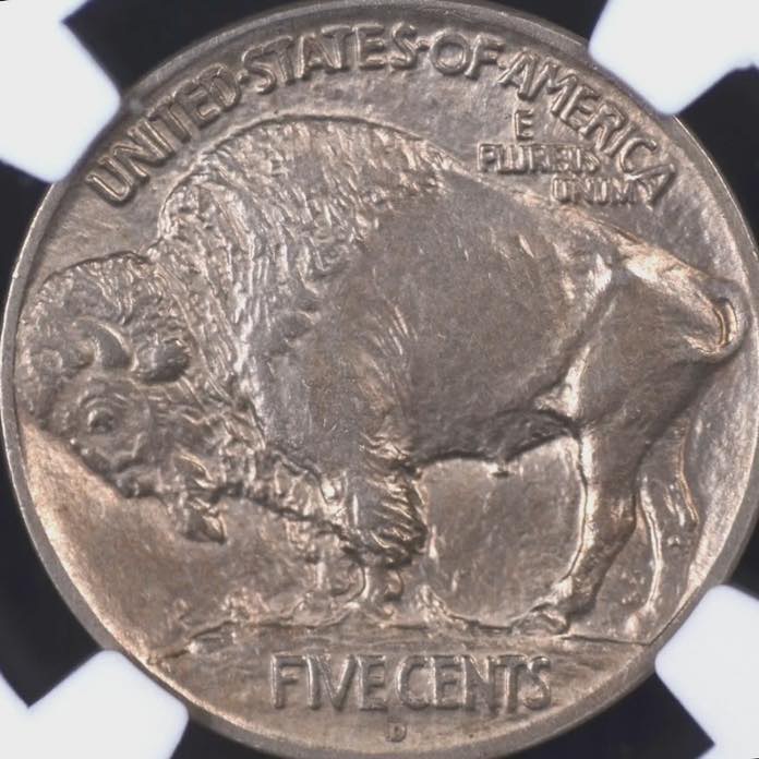 1913-D-Buffalo-Nickel-DDDr?-A-Double-Double?
