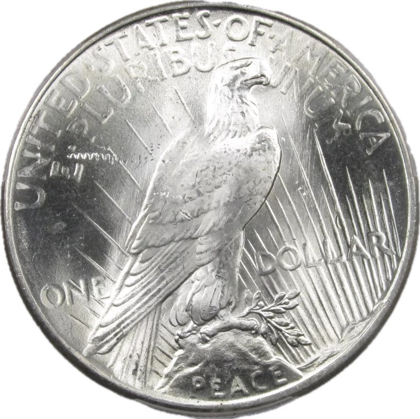 1925-Peace-Dollar.-Origin-Of-Squiggle-Mark?