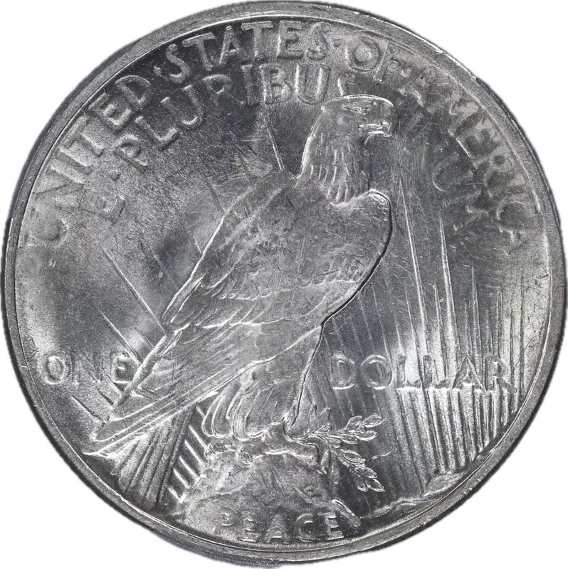 1923-Peace-Dollar---Help-With-VAM---Shortened-Ray