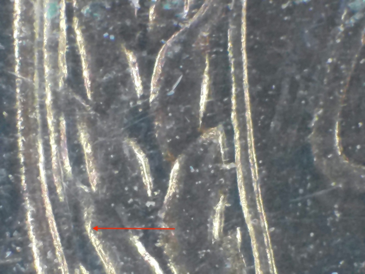 1955-Proof-Lincoln-Wheat-Cent-Doubled-Die---DDR-007