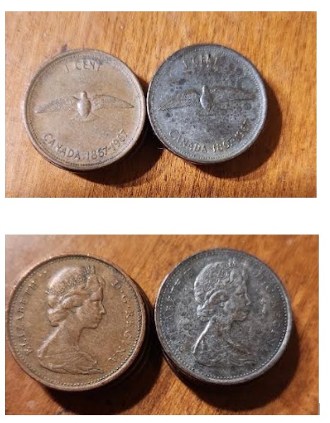 Canadian-Dove-Penny-1867-1967-Question-Regarding-The-Planchet-Used-Or-Is-It-Something-Else