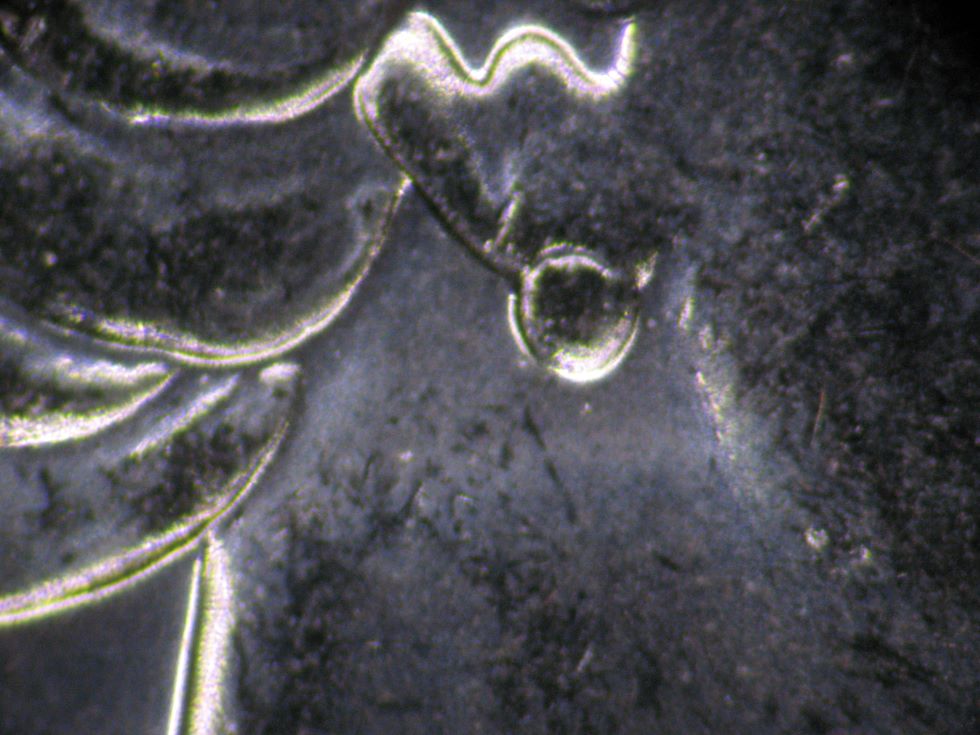Finally-Found-It!-2008-1-Cent-Single-And-Double-Earing-Strikes