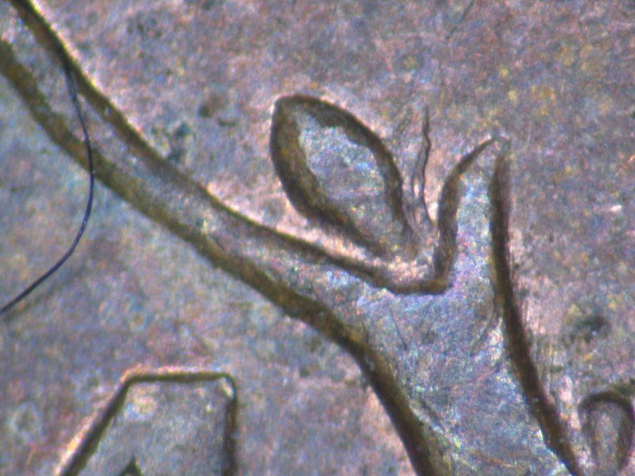 Post-Your-New-Canadian-Doubled-Die-Finds-Listed-In-John-O'connor's-Guide