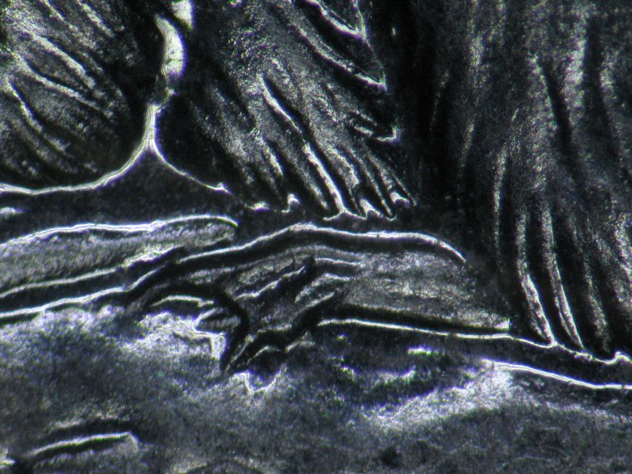 Post-Your-New-Canadian-Doubled-Die-Finds-Listed-In-John-O'connor's-Guide