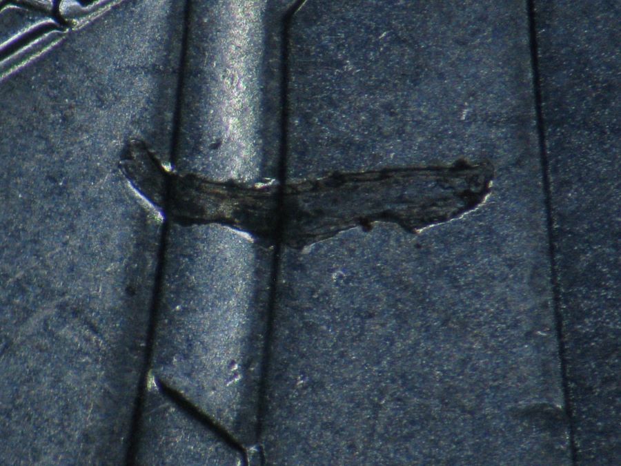 2008---10-Cent-Struck-Over-Metal-Fragment-And-Imbedded.
