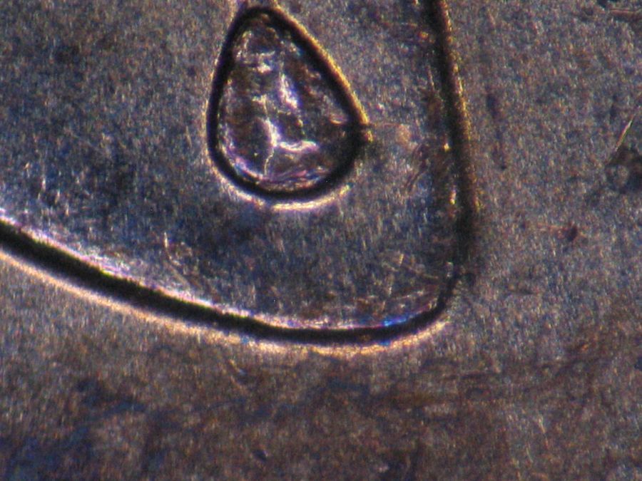 Post-Your-New-Canadian-Doubled-Die-Finds-Listed-In-John-O'connor's-Guide